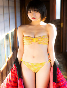 4399的视频BD高清在线观看免费,细狗视频