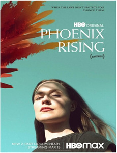 愤怒的小鸟:猪猪传 第四季