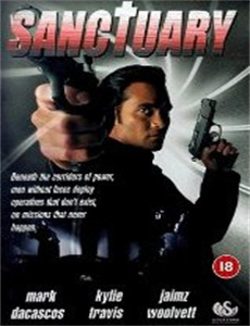 十七岁完全犯罪